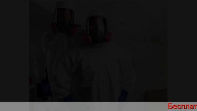 уничтожение клопов в Москве в квартире смотреть онлайн