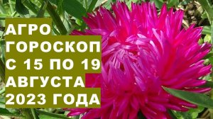 Агрогороскоп с 15 по 19 августа 2023 года. Агрогороскоп з 15 по 19 серпня 2023 року