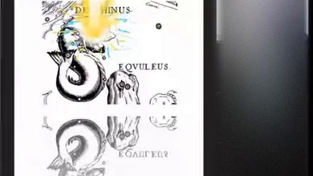 38_3 Delfino della costellazione_ Созвездие Дельфин смотреть онлайн