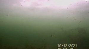 Рыбалка на Чусовском озере. Подводная съёмка.