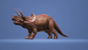 Трицератопс, Triceratops,