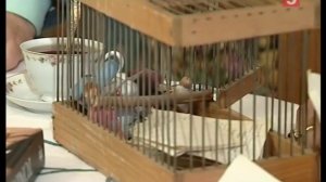 Личные вещи. Тонино Гуэрра