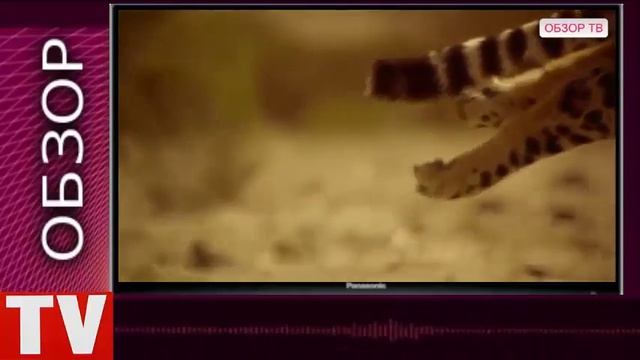 ПУШКИНО  Гепард   Самое Быстрое Наземное Животное