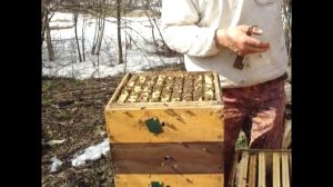 8.04.22 Хороший облет. Первый осмотр семей.mp4