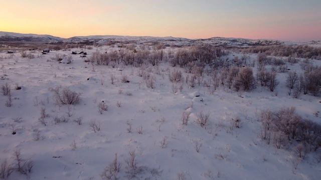 Заозерск зимою 2021 #DJI#MAVIC#Мурманскаяобласть#Заозерск#Music