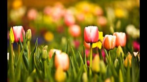 АНДРЕЙ ГУРОВ   СКАЗОЧНОЕ ЛЕТО