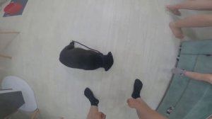 Метис лабрадора и дворняги Луна! Первые команды и поводок!