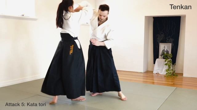 Aikido and the Dynamic Sphere - bringing print to life | IKKYO смотреть онлайн