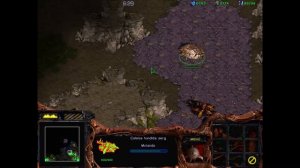 Starcraft - Campaña Insurrection (Zerg 9)