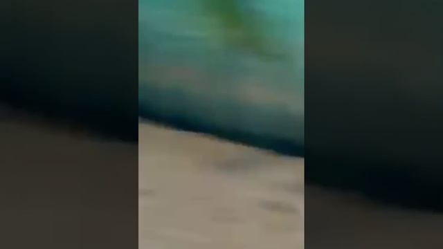 Время поесть).mp4 смотреть онлайн