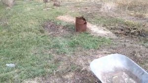 Подготовка площадки для беседки