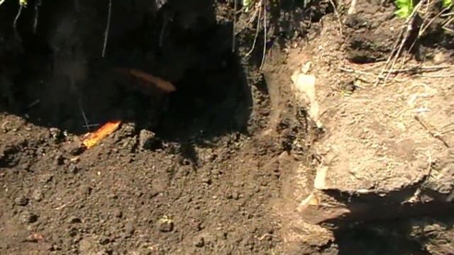 ГИГАНТСКИЙ ОПОЛЗЕНЬ ПОХОРОНИЛ ДЕРЕВНЮ !!! смотреть онлайн