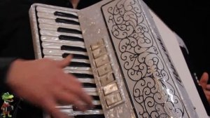 Crocodile Gena/ Песня крокодила Гены | Accordion Cover