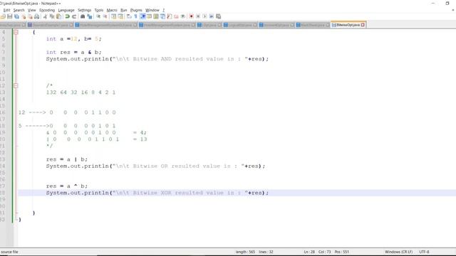 Bitwise Operator and Special Operator in java