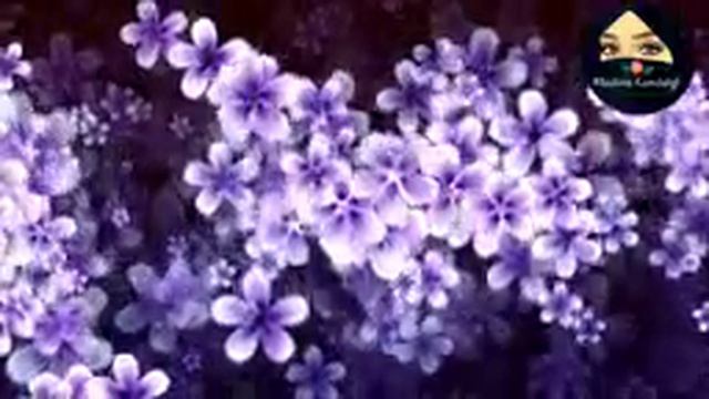 Tabrik смотреть онлайн