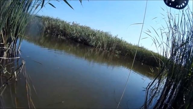 Ловля карпа нахлыстом : Краткий экскурс