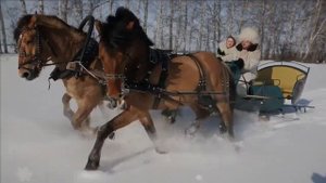 "Зимней ночью тройка мчится"-музыка и слова Галины Карпюк, аран. Дмитрия Уткина, поёт Елена Бажанов
