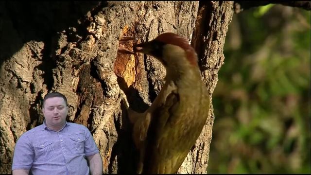 Литературная гостиная "Край гор, стихов, легенд и сказок" (поэзия) смотреть онлайн