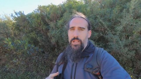 ?Plantas de uso tradicional 13: El ALCORNOQUE (Quercus suber)