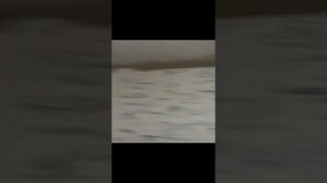 Монтаж беспроводных пьезовыключателей света J-vud.