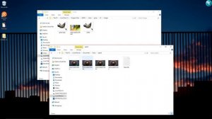 Gimp Splash Screen (Free Gimp Splash Screens)