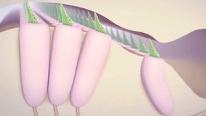 Как наушники ухудшают слух? | Вред наушников | ПОЛЕЗНЫЙ ЮТУБ