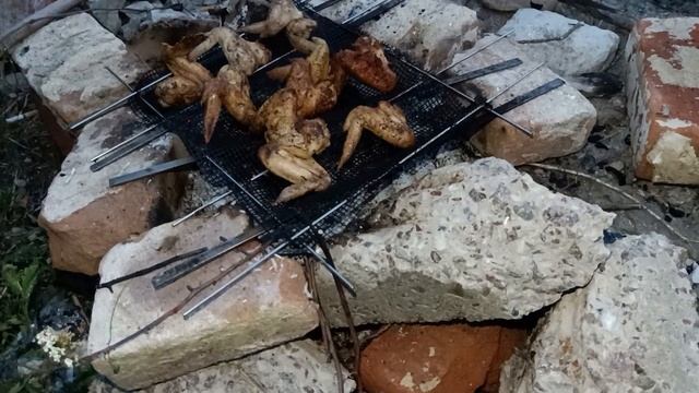 ОТец приготовил барбекю крылышки, рыбу и кабачки на костре. Тест китайской сетки для барбекю. смотреть онлайн