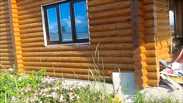 Какое масло работает лучше? Сравниваем "НЕ наше и наше" масло для дерева. Какие масловоски  лучше?
