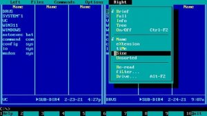 Краткий обзор MS-DOS | 1 выпуск