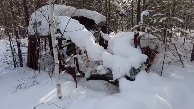 ПОЕЗДКА В ТАЙГУ/ЗАБРОШЕННЫЙ УЧАСТОК/ЧЕРВЯНКА#жизньвтайге #отшельник #тайга #бездорожье