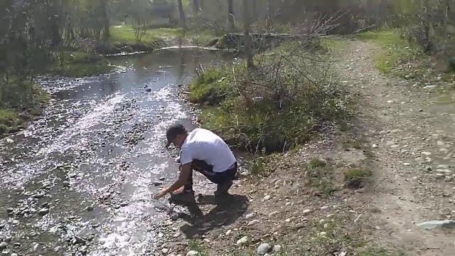 Нашел новый вид!!!!! ЛЕСНОЙ ПИСАРЬ, Пушкин курит в сторонке))) ШОК смотреть онлайн