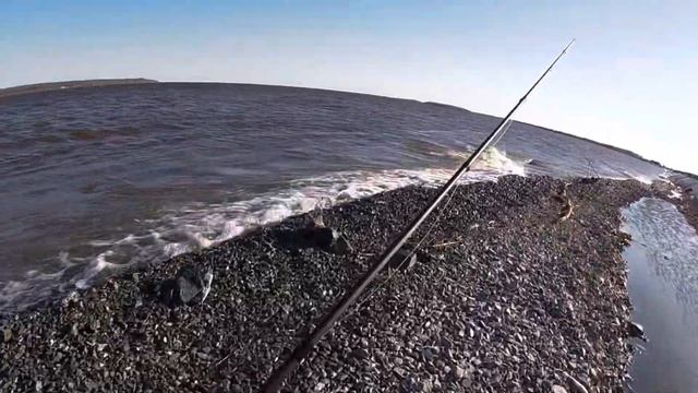 Рыбалка на Оби, начало сезона, первый выезд