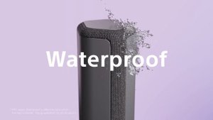 Sony SRS-XE300 Portable Wireless Speaker