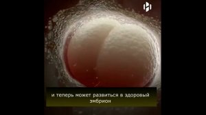 Взрыв света при зачатии