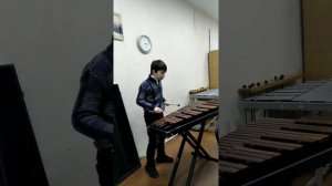 Пьеса Скерцино В. Косенко  на ксилофоне