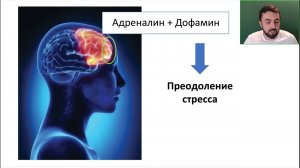 Преодоление стресса: важность баланса адреналина и дофамина. Фрагмент лекции курса "Правда и Кривда"