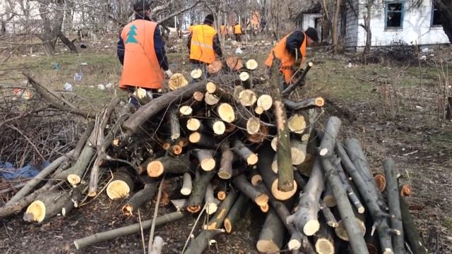 Прикрываясь уборкой свалки,пилили деревья на Нахимова смотреть онлайн