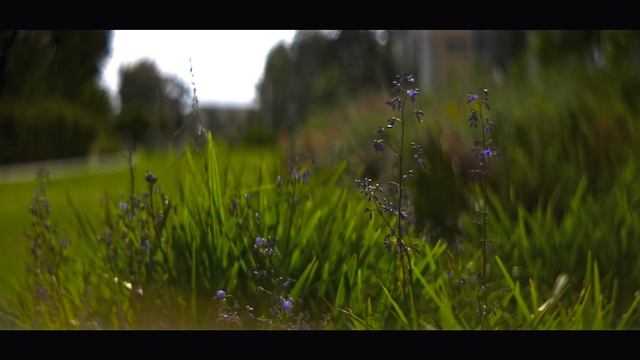 Why I Sold the Panasonic Lumix S5 | 4K 10-Bit 4:2:2 & ProRes RAW Samples смотреть онлайн