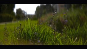 Why I Sold the Panasonic Lumix S5 | 4K 10-Bit 4:2:2 & ProRes RAW Samples