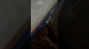 китайский трицикл стоит ли брать