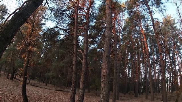 Излучина реки Бузулук ⚡ смотреть онлайн