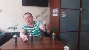 Мощный стимулятор роста и иммунитета!!!