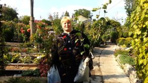 Отзыв постоянного покупателя о питомнике