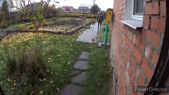 Какое у нас в Бресте медицинское обслуживание. Дачные вести.Vlog.Брест смотреть онлайн