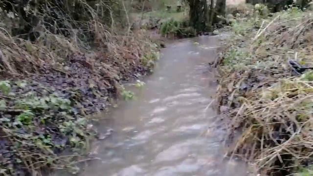 Кладоискательство в Англии/ серебро и расыпуха 1733 смотреть онлайн