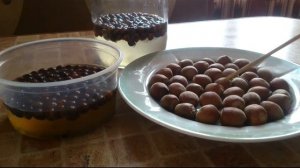 #1:Пытаюсь вырастить черешню из косточки и лесной орех.