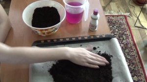 Способы обеззараживания почвы