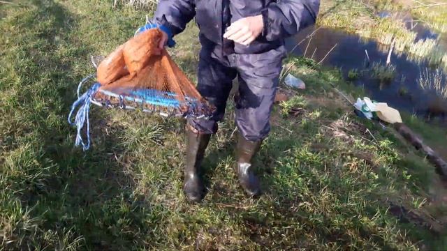 Кастенговая сеть американского типа с большим кольцом смотреть онлайн