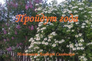 Пройдут года