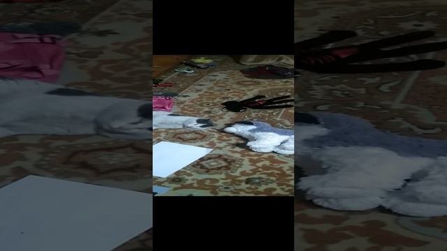 Что здесь не так?